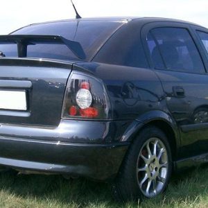 UNI Spoileriai - Spoileris bagažinės dangčio, style STW.